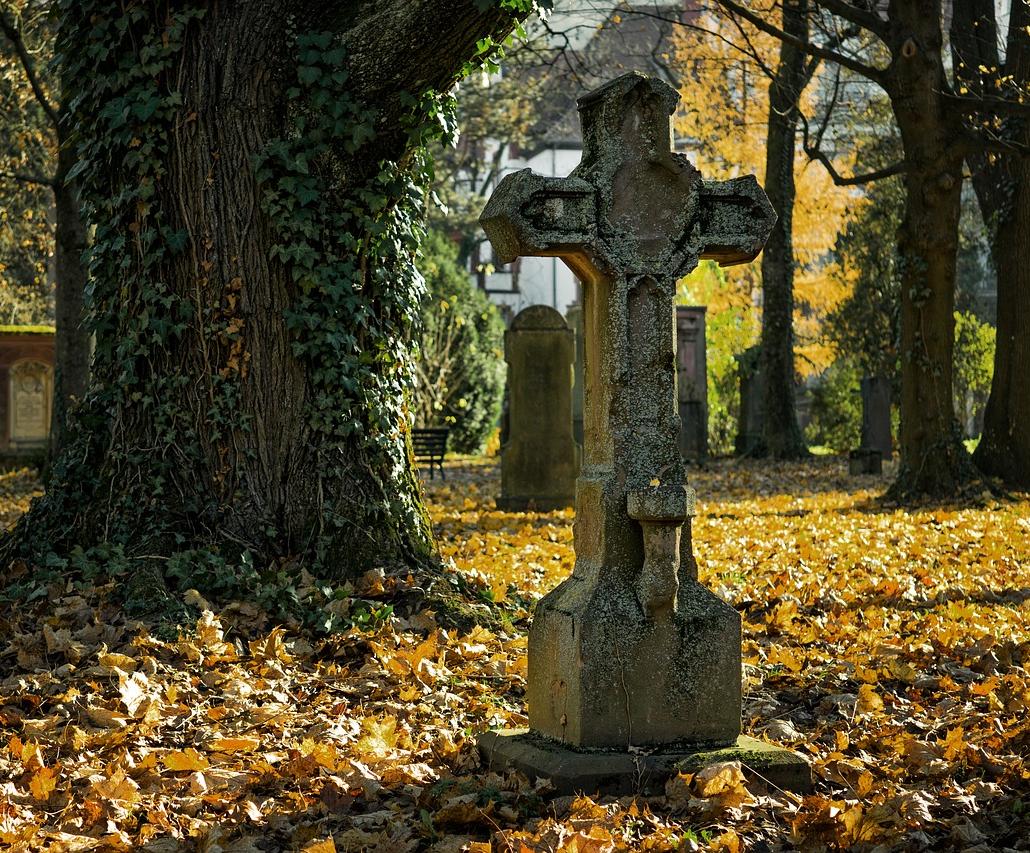 Arrêt d'une expérimentation de forêt cinéraire